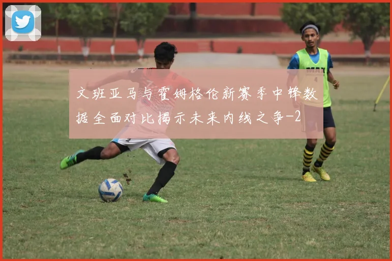 文班亚马与霍姆格伦新赛季中锋数据全面对比揭示未来内线之争