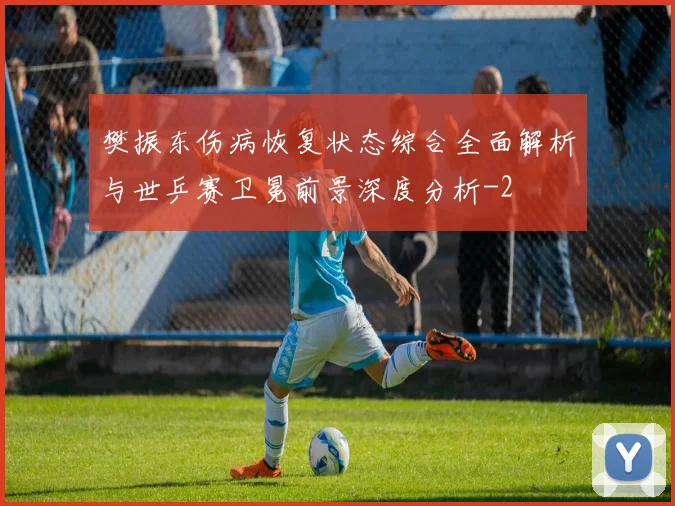 樊振东伤病恢复状态综合全面解析与世乒赛卫冕前景深度分析