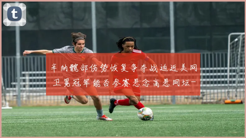 辛纳髋部伤势恢复争夺战迫近美网 卫冕冠军能否参赛悬念高悬网坛