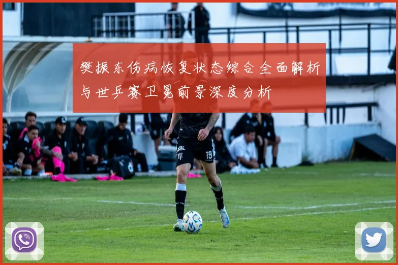 樊振东伤病恢复状态综合全面解析与世乒赛卫冕前景深度分析