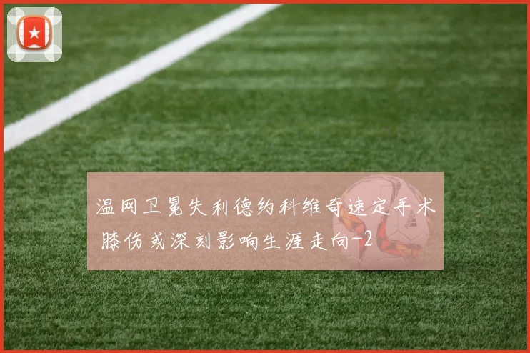 温网卫冕失利德约科维奇速定手术 膝伤或深刻影响生涯走向