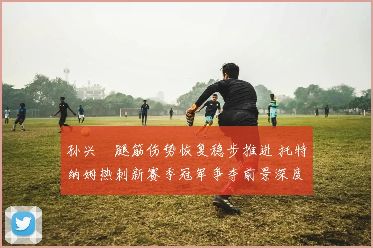 孙兴慜腿筋伤势恢复稳步推进 托特纳姆热刺新赛季冠军争夺前景深度解析
